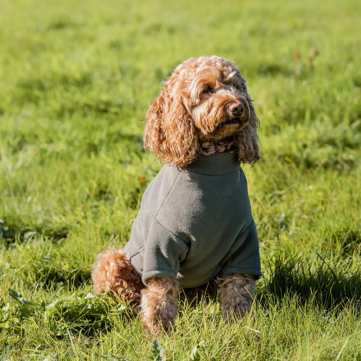 Stix Waterproof Fleece Coats for Cockapoos