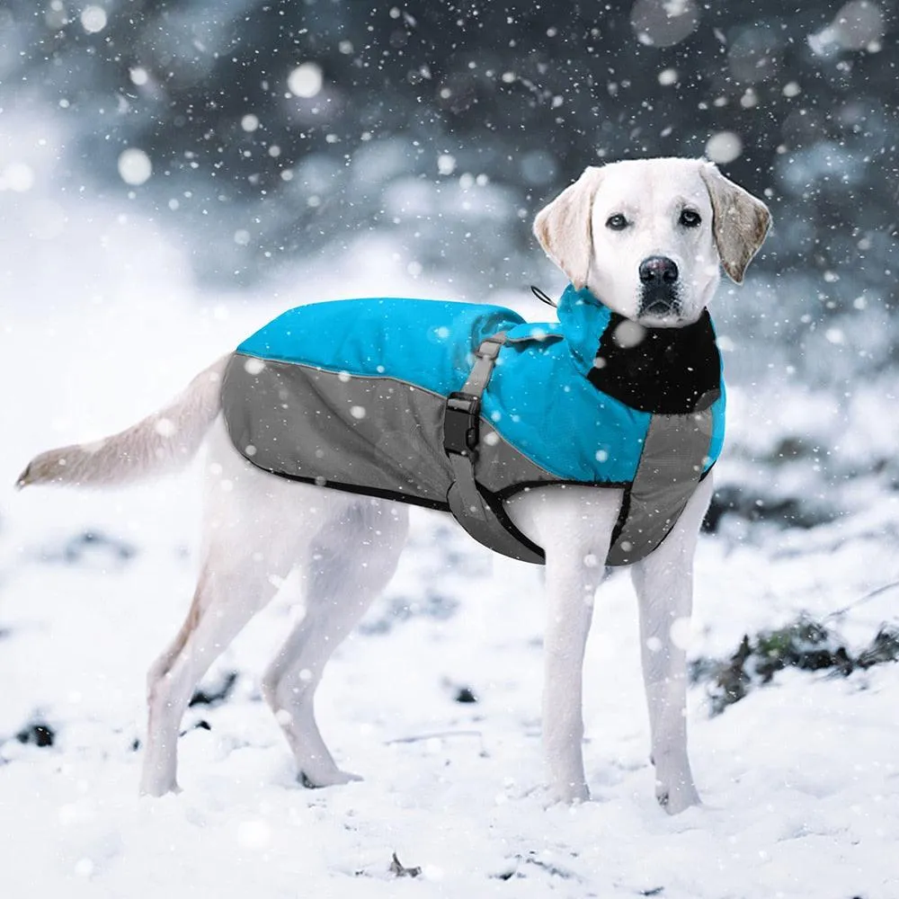 Waterproof Warm Dog Coat / Jacket - Medium to Large Dogs